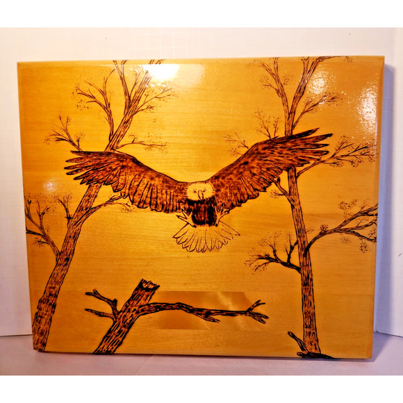Pyrography American Folk Art Carved Bald Eagle Wood Wall Plaque Signed - Picture 3 of 5